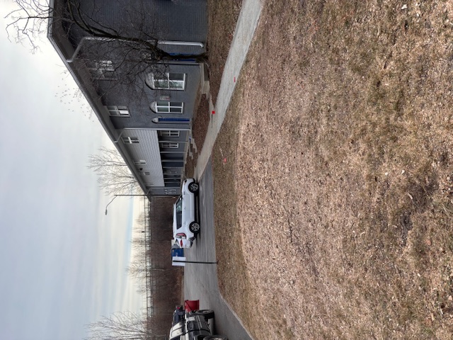 After stump grinding - clean level ground
